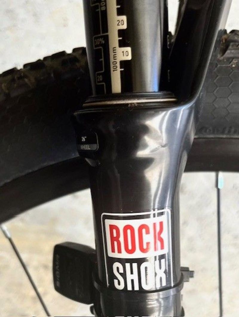 Gebrauchtes Red Bull (Rose) AL Team 2006 Mountainbike, Hellgrau — Bild 2 von 10