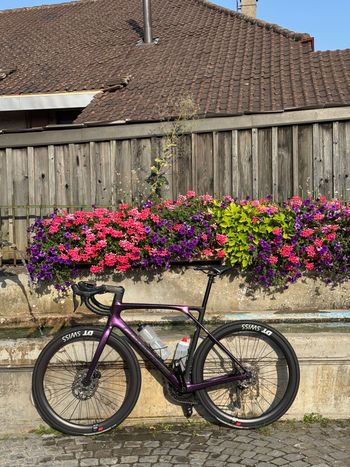 Used Lapierre Xelius SL 5.0 Di2 2024 Frameset 2024 Road & Gravel, Purple — image 2 of 6