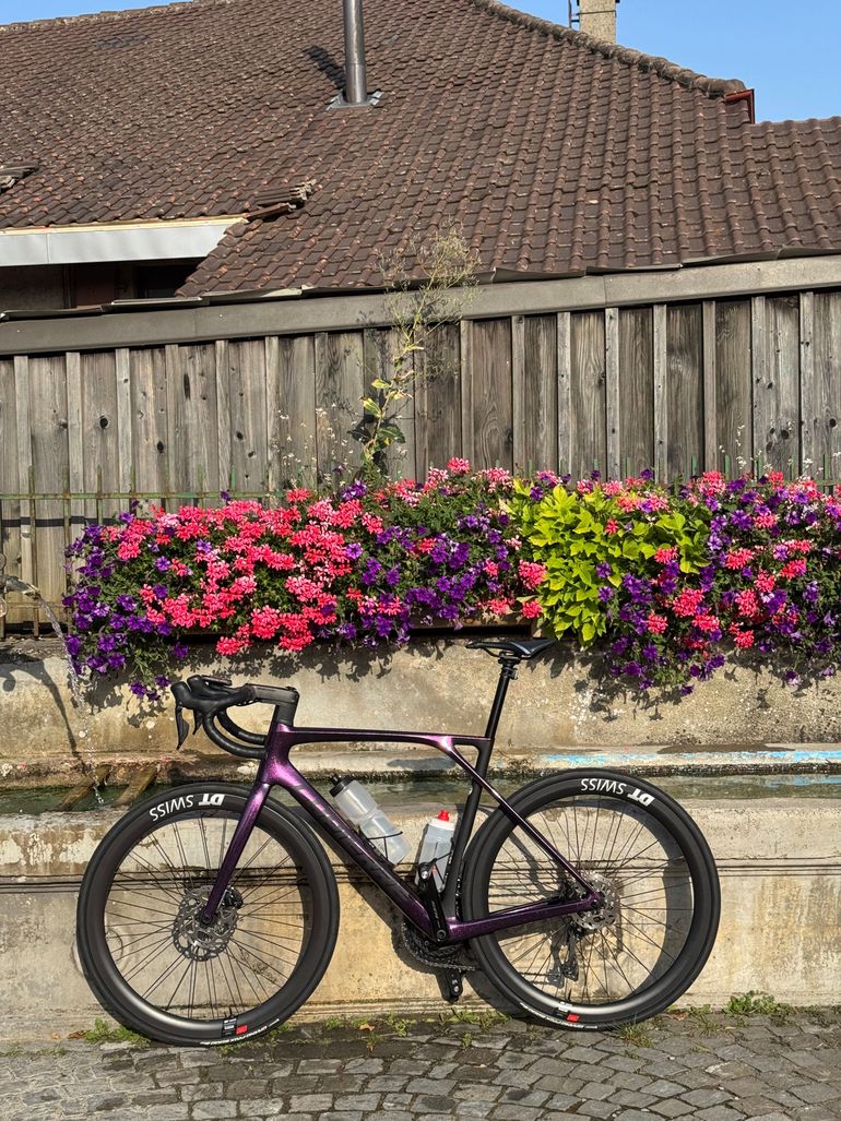 Used Lapierre Xelius SL 5.0 Di2 2024 Frameset 2024 Road & Gravel, Purple — image 2 of 6