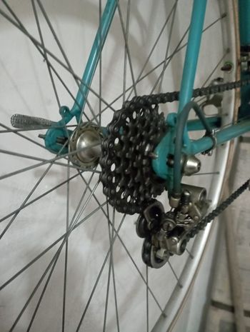 Used TROIANI TROIANI Custom Shimano Tiagra 1978 Road & Gravel — image 2 of 12