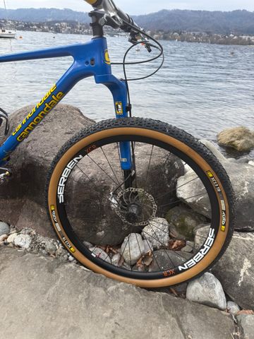 Gebrauchtes Cannondale Throwback 2021 Mountainbike, Blau — Bild 4 von 11