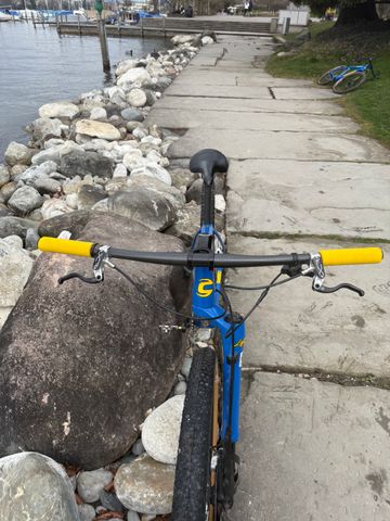 Gebrauchtes Cannondale Throwback 2021 Mountainbike, Blau — Bild 6 von 11