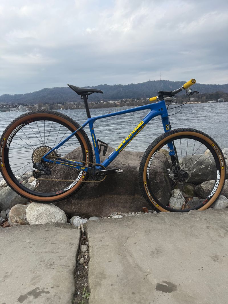 Cannondale Throwback 2021 MTB usato
