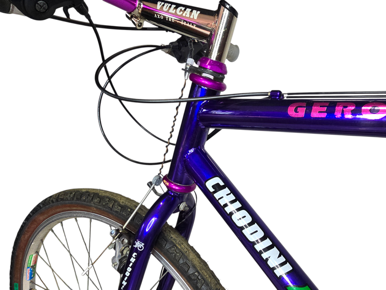Used chiodini Golden Team 2000 Mountainbike — image 13 of 17