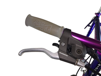Used chiodini Golden Team 2000 Mountainbike — image 17 of 17