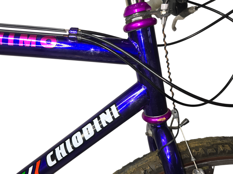 Used chiodini Golden Team 2000 Mountainbike — image 2 of 17