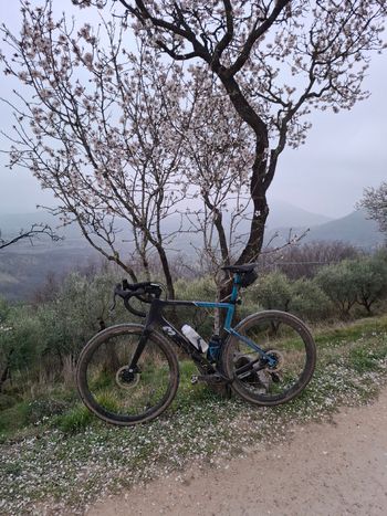 3T, Exploro Racemax Campagnolo Ekar