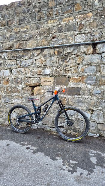 Propain, TYEE 6 CF Goldrush 2025