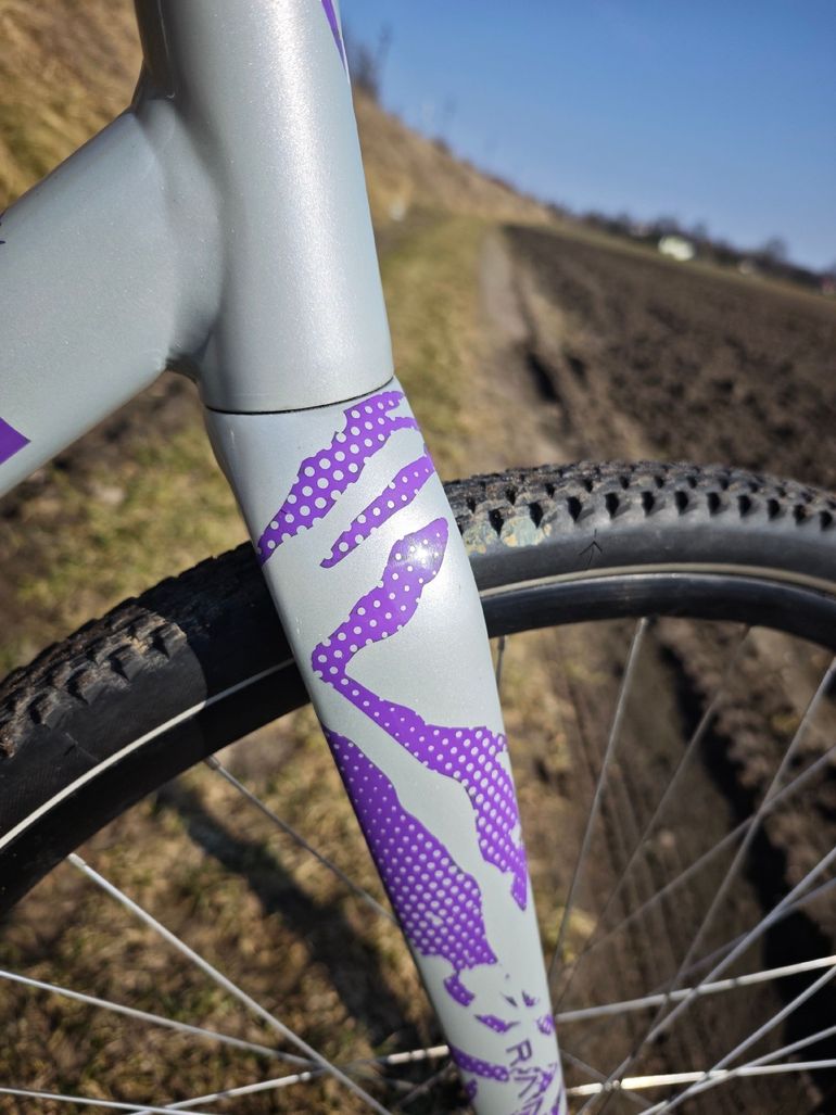 Used skream Skream Custom Frameset 2024 Road & Gravel — image 15 of 16