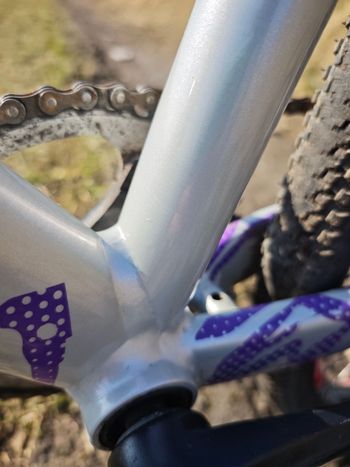 Used skream Skream Custom Frameset 2024 Road & Gravel — image 3 of 16