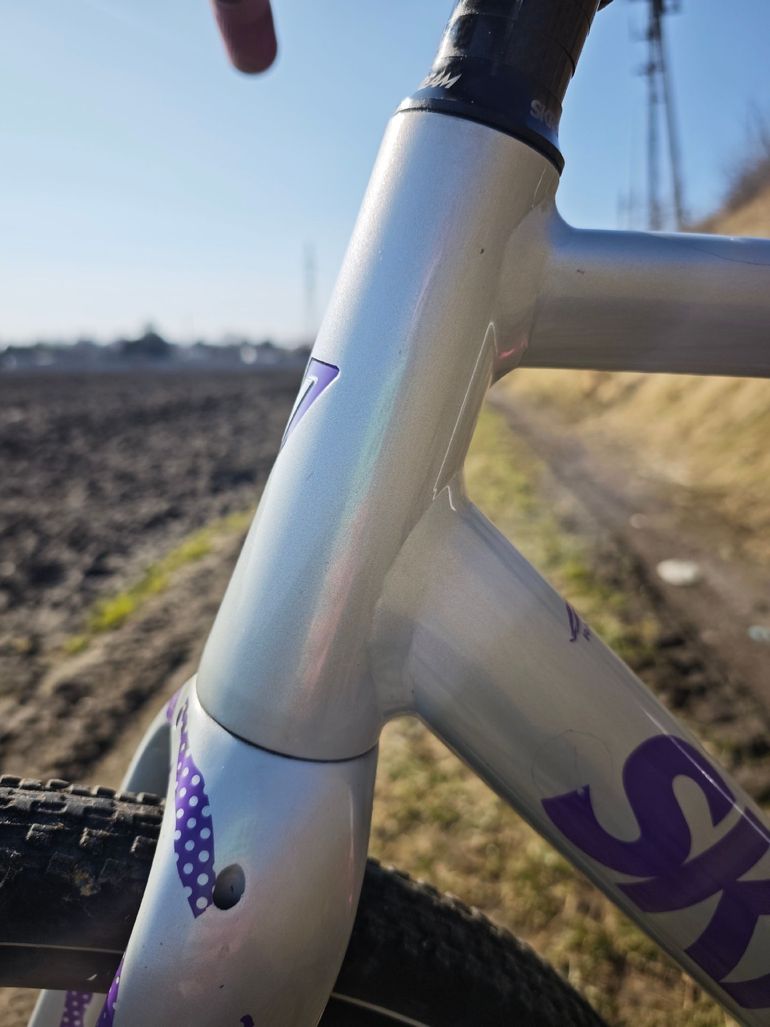Used skream Skream Custom Frameset 2024 Road & Gravel — image 13 of 16