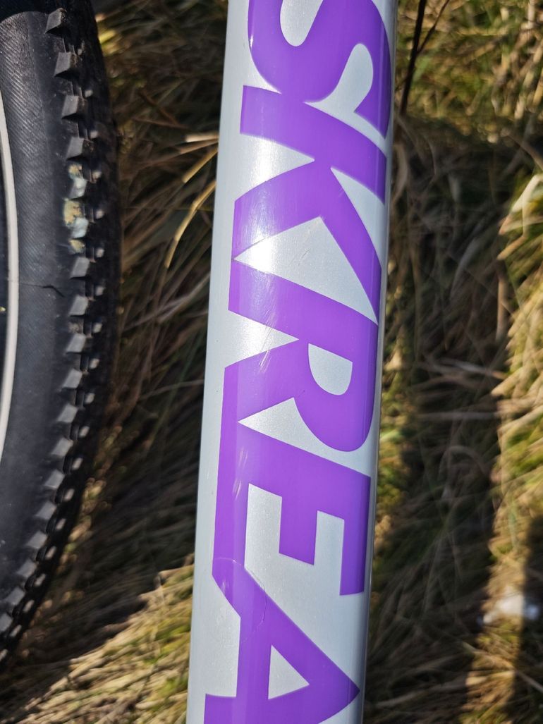 Used skream Skream Custom Frameset 2024 Road & Gravel — image 7 of 16