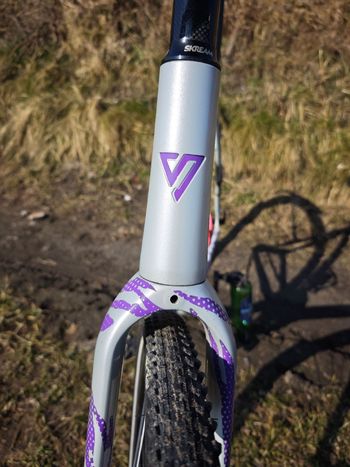 Used skream Skream Custom Frameset 2024 Road & Gravel — image 9 of 16