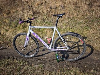 Used skream Skream Custom Frameset 2024 Road & Gravel — image 2 of 16