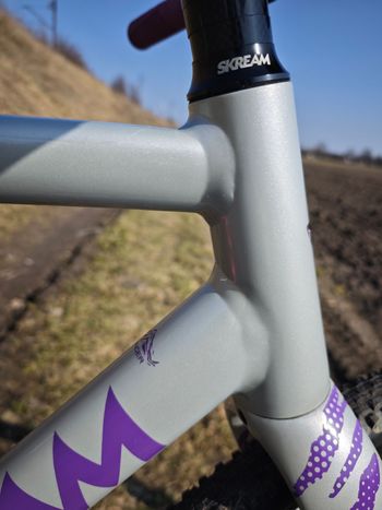 Used skream Skream Custom Frameset 2024 Road & Gravel — image 14 of 16