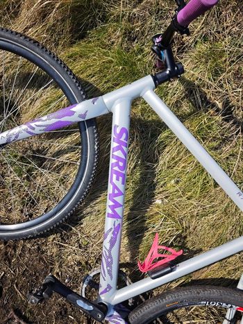 Used skream Skream Custom Frameset 2024 Road & Gravel — image 6 of 16