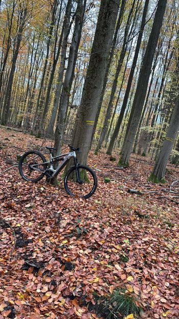 Used Cannondale Moterra Neo 3 2023 2023 Mountainbike, Grigio chiaro — image 2 of 6