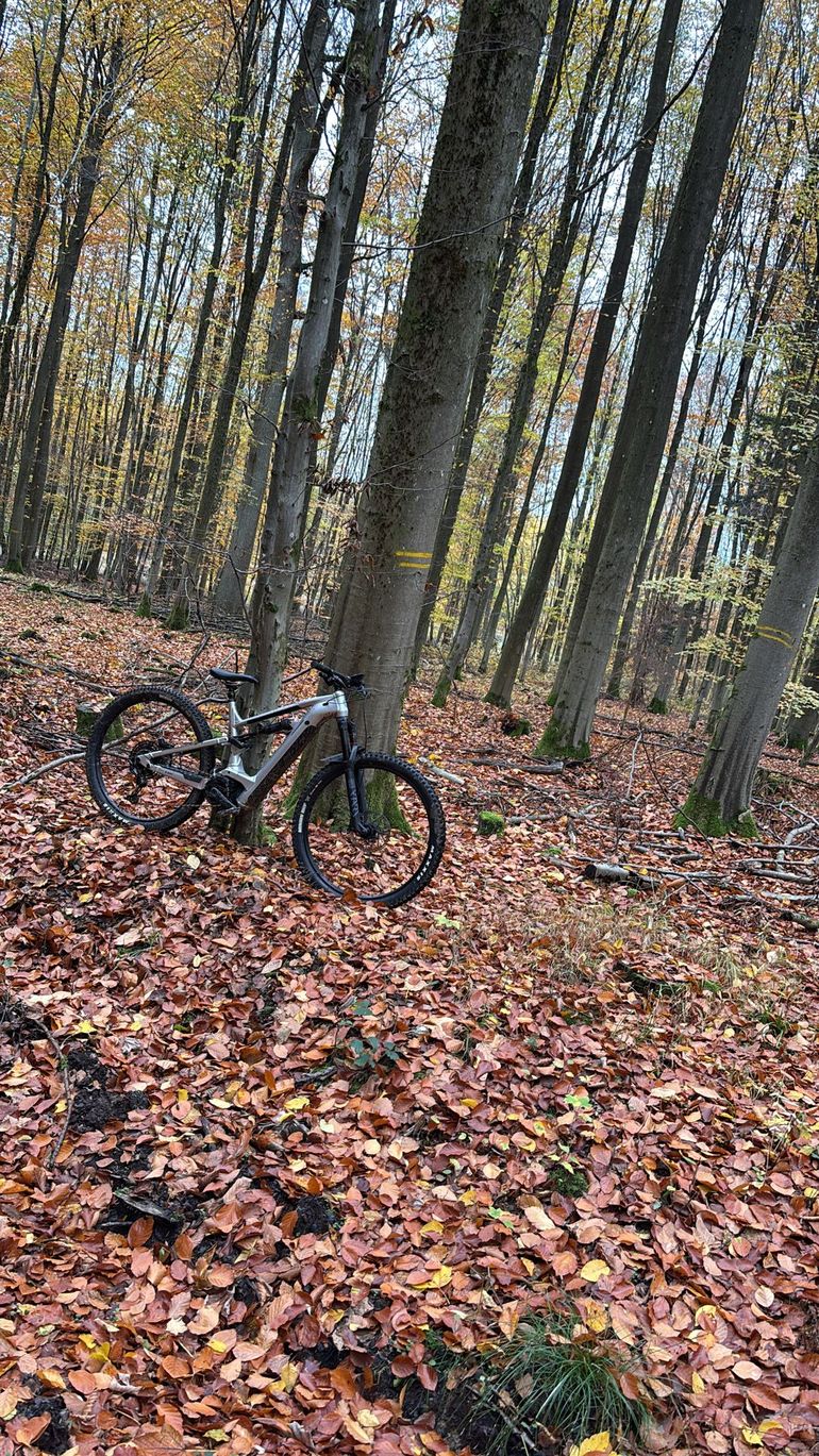 Used Cannondale Moterra Neo 3 2023 2023 Mountainbike, Grigio chiaro — image 2 of 6