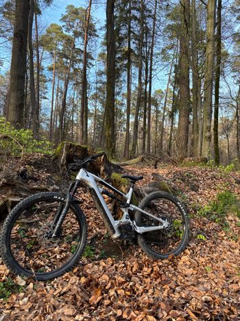 Used Cannondale Moterra Neo 3 2023 2023 Mountainbike, Grigio chiaro — image 4 of 6