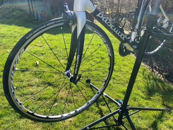 Used Pasculli Zovallo 2013 2013 Road & Gravel — image 4 of 7