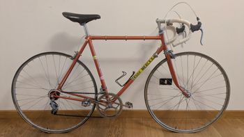 Eddy Merckx, Molteni Orange