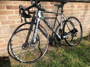 Used Zannata Zannata Z46 Disc 2021 Road & Gravel — image 3 of 3