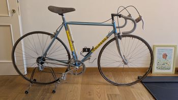 Colnago, Colnago Junior