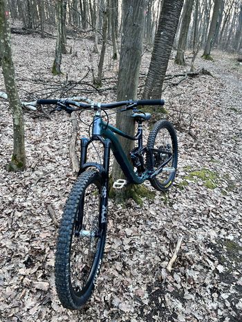 Used Giant Reign 1 2024 2024 Mountainbike, Black, 29 — image 1 of 4