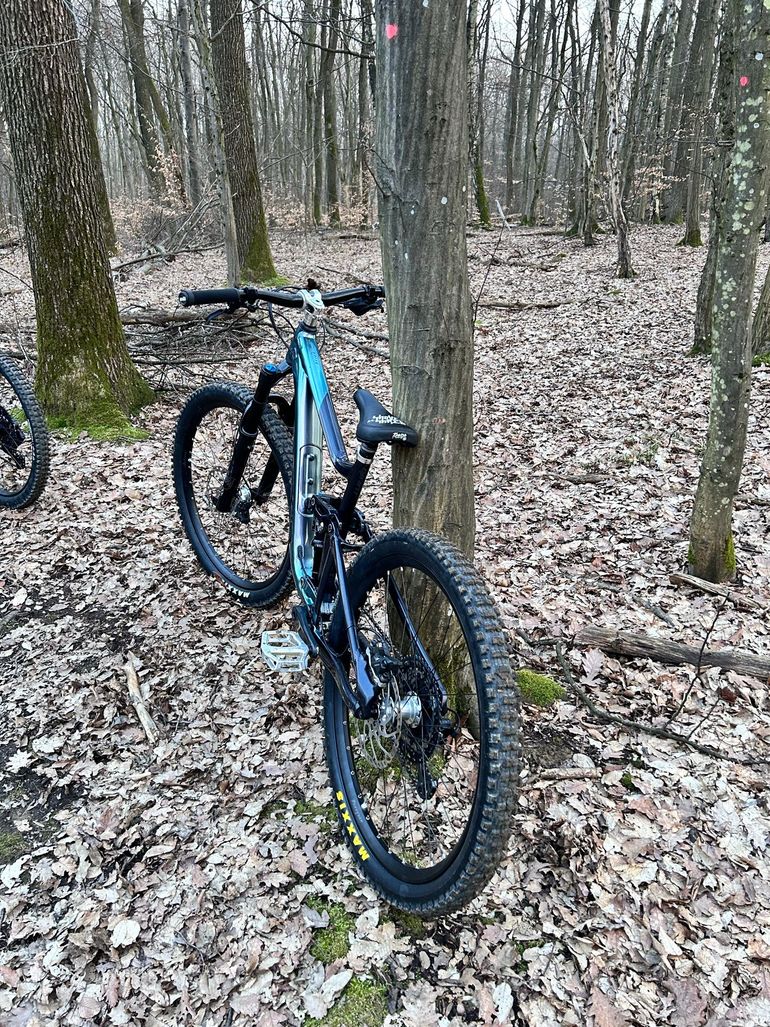 Used Giant Reign 1 2024 2024 Mountainbike, Black, 29 — image 4 of 4