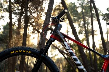 Used Scott Spark RC Team Issue 2025 2025 Mountainbike, Schwarz, 29 — image 2 of 9