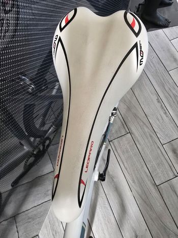 Used Pinarello Lungavita Single Speed / Fixed Gear 2015 Road & Gravel, White — image 7 of 9