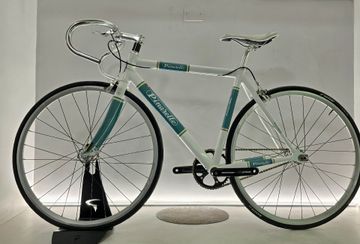 Used Pinarello Lungavita Single Speed / Fixed Gear 2015 Road & Gravel, White — image 2 of 9