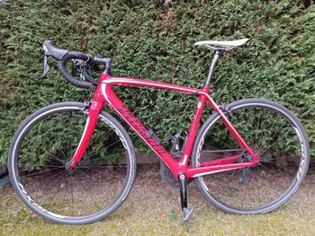 Used Specialized Tarmac Elite 2016 2016 Road & Gravel, Red — image 2 of 8