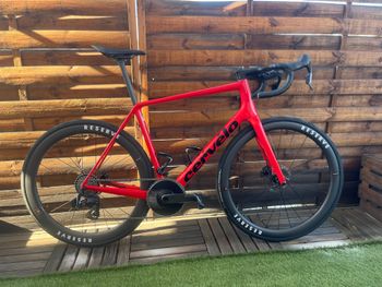 Cervélo R5 Frameset 2025 Road & Gravel usato