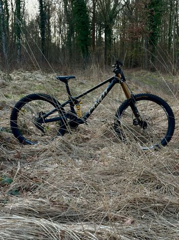 Pivot, Phoenix SRAM GX