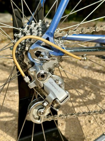 Used Pinarello Treviso Circa 1989 1989 Road & Gravel, Blau — image 12 of 47