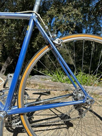 Used Pinarello Treviso Circa 1989 1989 Road & Gravel, Blau — image 37 of 47
