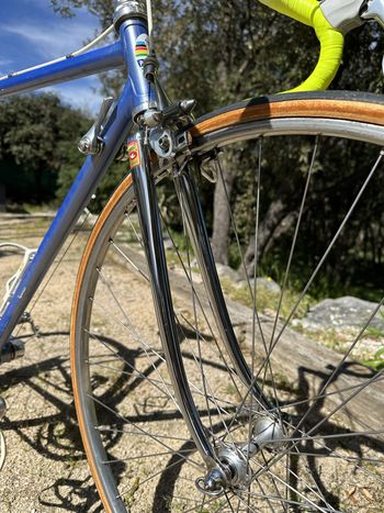 Used Pinarello Treviso Circa 1989 1989 Road & Gravel, Blau — image 30 of 47