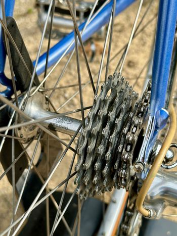 Used Pinarello Treviso Circa 1989 1989 Road & Gravel, Blau — image 11 of 47