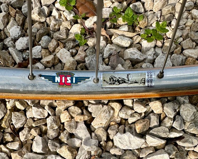 Used Pinarello Treviso Circa 1989 1989 Road & Gravel, Blau — image 15 of 47
