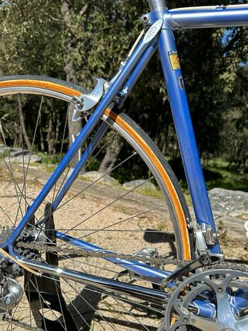 Used Pinarello Treviso Circa 1989 1989 Road & Gravel, Blau — image 46 of 47