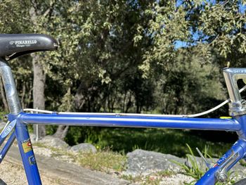 Used Pinarello Treviso Circa 1989 1989 Road & Gravel, Blau — image 42 of 47