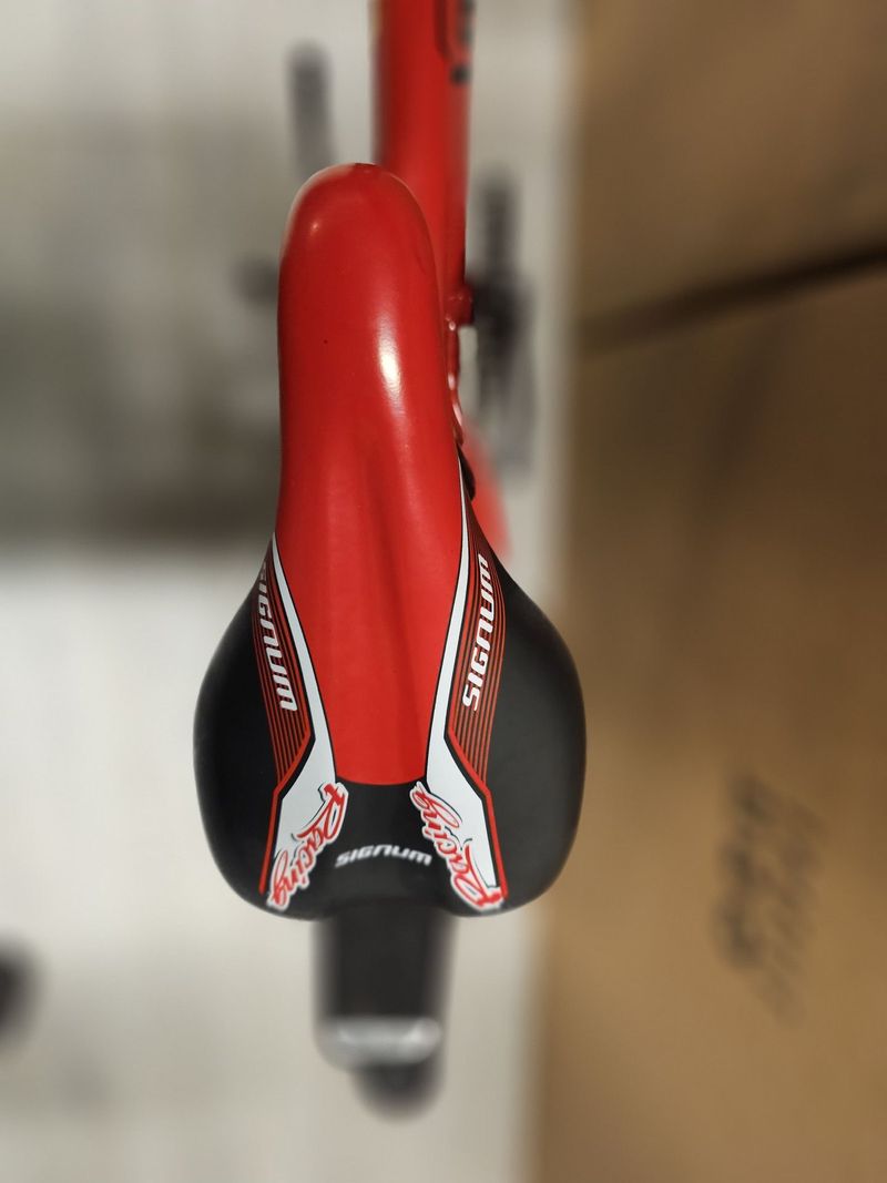 Used LOMBARDO Custom Other 2025 Mountainbike, Red — image 3 of 3