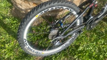 Thumbnail 11