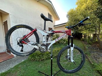 Kona, Clump 7005