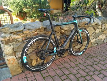 Bianchi, Aria - 105 2022