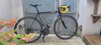Cannondale, R1000
