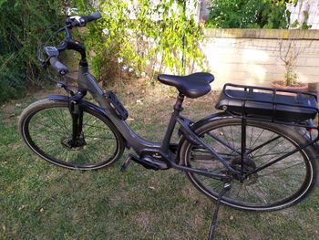 Trek, Trek Verve +1 Lowstep