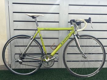 Liotto, Liotto Custom Campagnolo Veloce