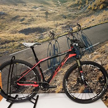 Used Wilier Wilier Custom SRAM GX Eagle 2019 MTB